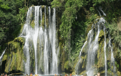 Huasteca Potosina: Ruta de cascadas y el Jardín Surrealista que debes conocer