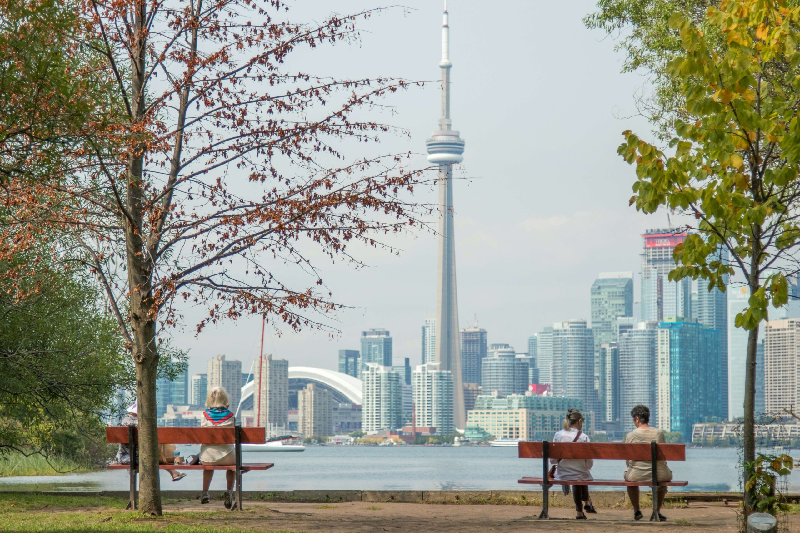 Vista del skyline de Toronto con la CN Tower y rascacielos junto al lago, vista desde un parque arbolado.