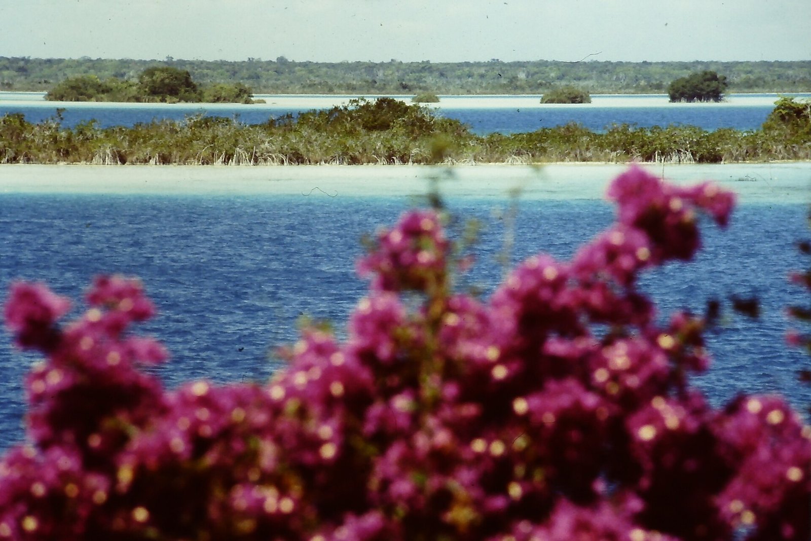 Laguna de los Siete Colores en Bacalar