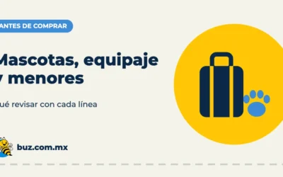 Mascotas, equipaje y menores viajando solos: qué revisar antes de comprar