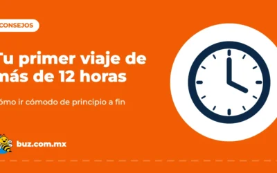Consejos para tu primer viaje largo en autobús (+12 horas)